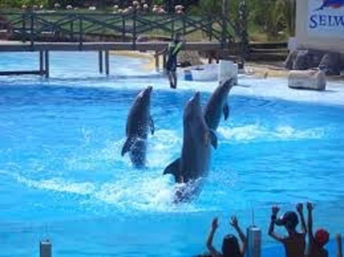 "Vive Benal Beach" Estudio 2501, Vistas Al Mar Y Parque Acuatico 베날마데나코스타 외부 사진